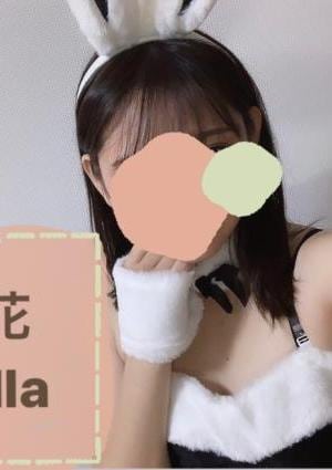 立花の画像