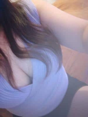 雛菜の画像