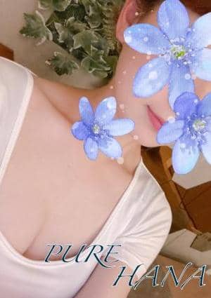 はなの画像