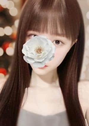かいの画像
