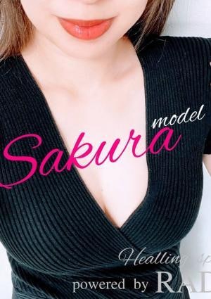 sakuraの画像