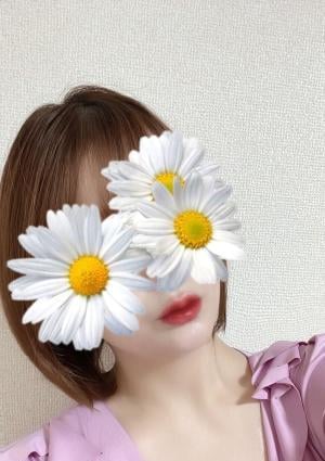 せりかの画像