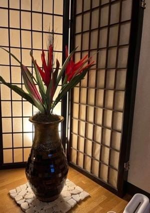 相馬未来の画像
