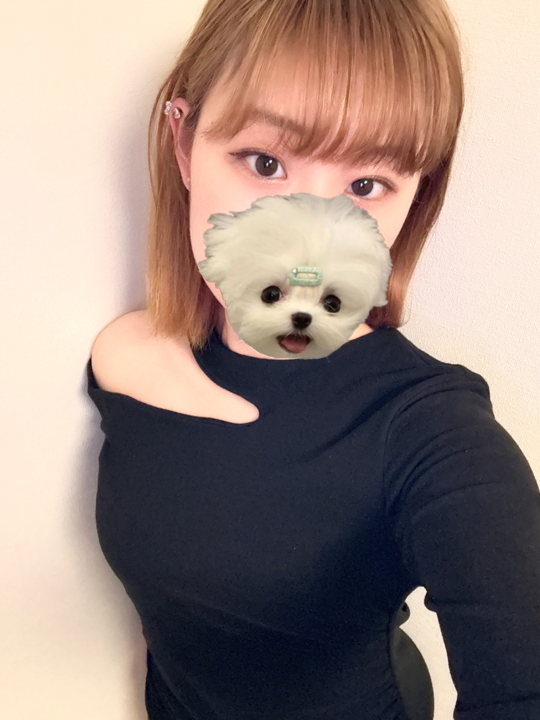 いろはの画像