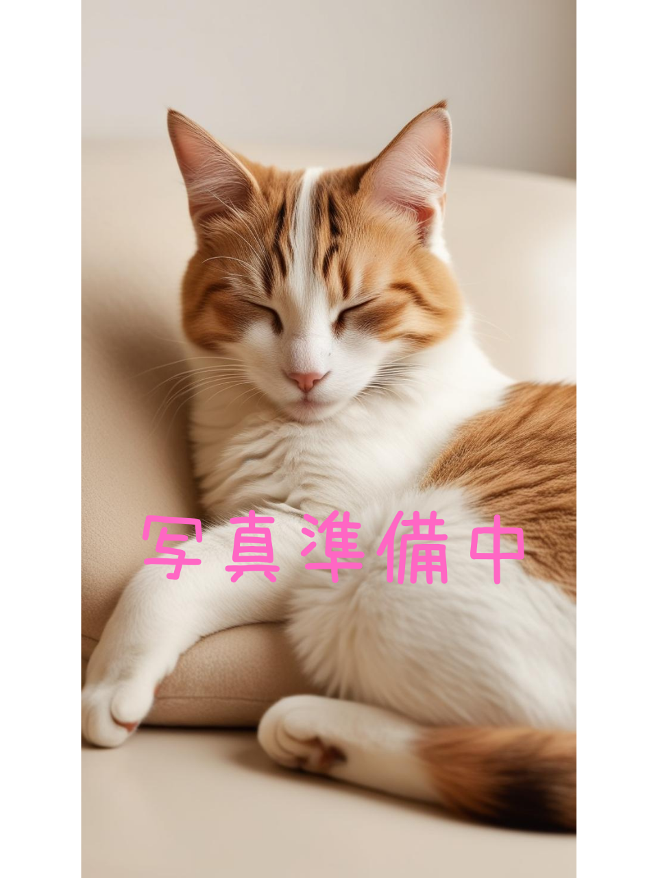 美波あおの画像