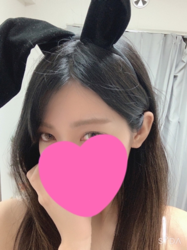 カエデの画像