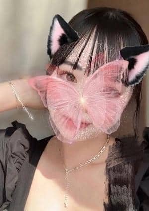 みみの画像
