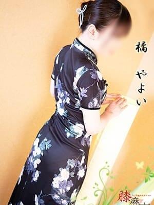 橘 やよいの画像