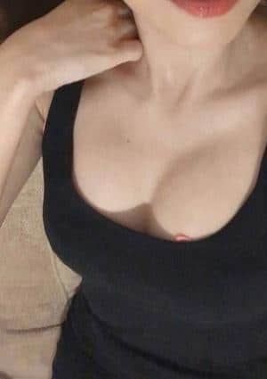 博美の画像