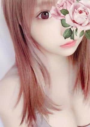 つばきの画像