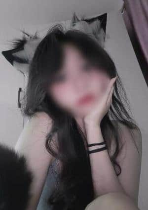 ここの画像