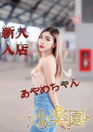 あやめの画像