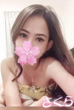 はなちゃんの画像