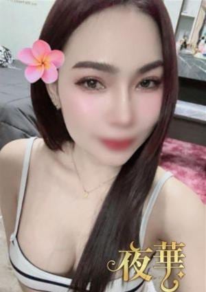 さらの画像