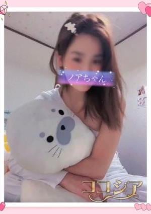 ノアの画像