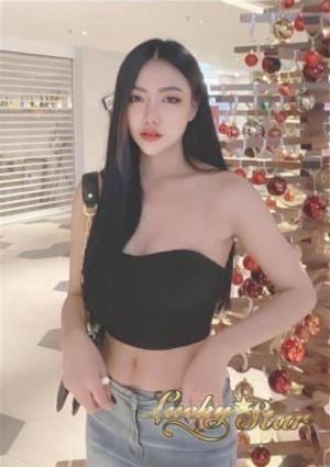 ナラの画像