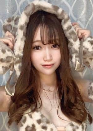 キティの画像