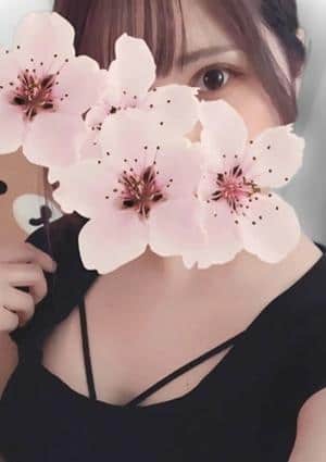 八掛の画像