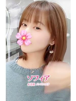 みみの画像