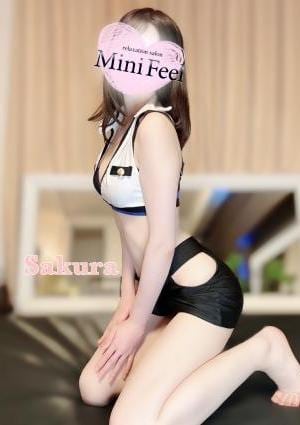 さくらの画像