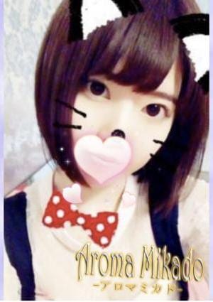 ユリの画像