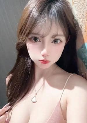ねこの画像