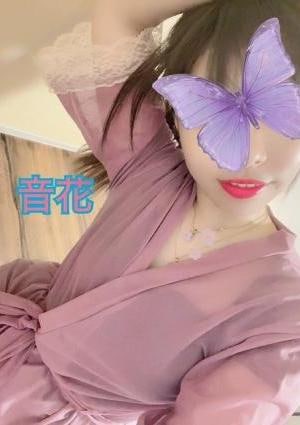 スタイル抜群美女【音花】の画像