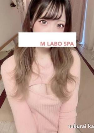 櫻井かれんの画像