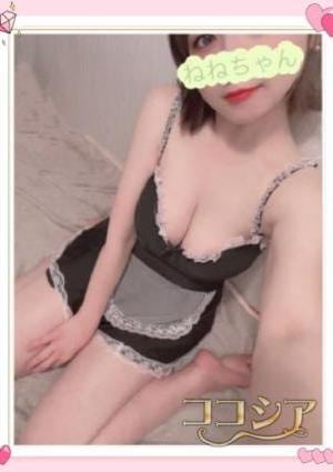 ねねの画像