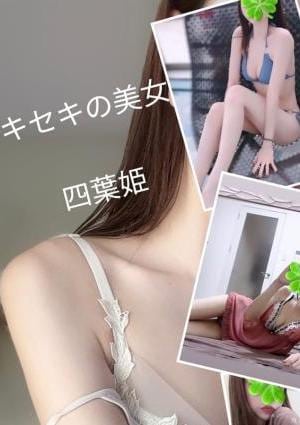 四葉姫【当店最高ランク】の画像