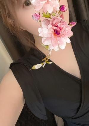 ミモザの画像