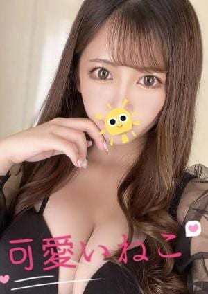 ひなの画像